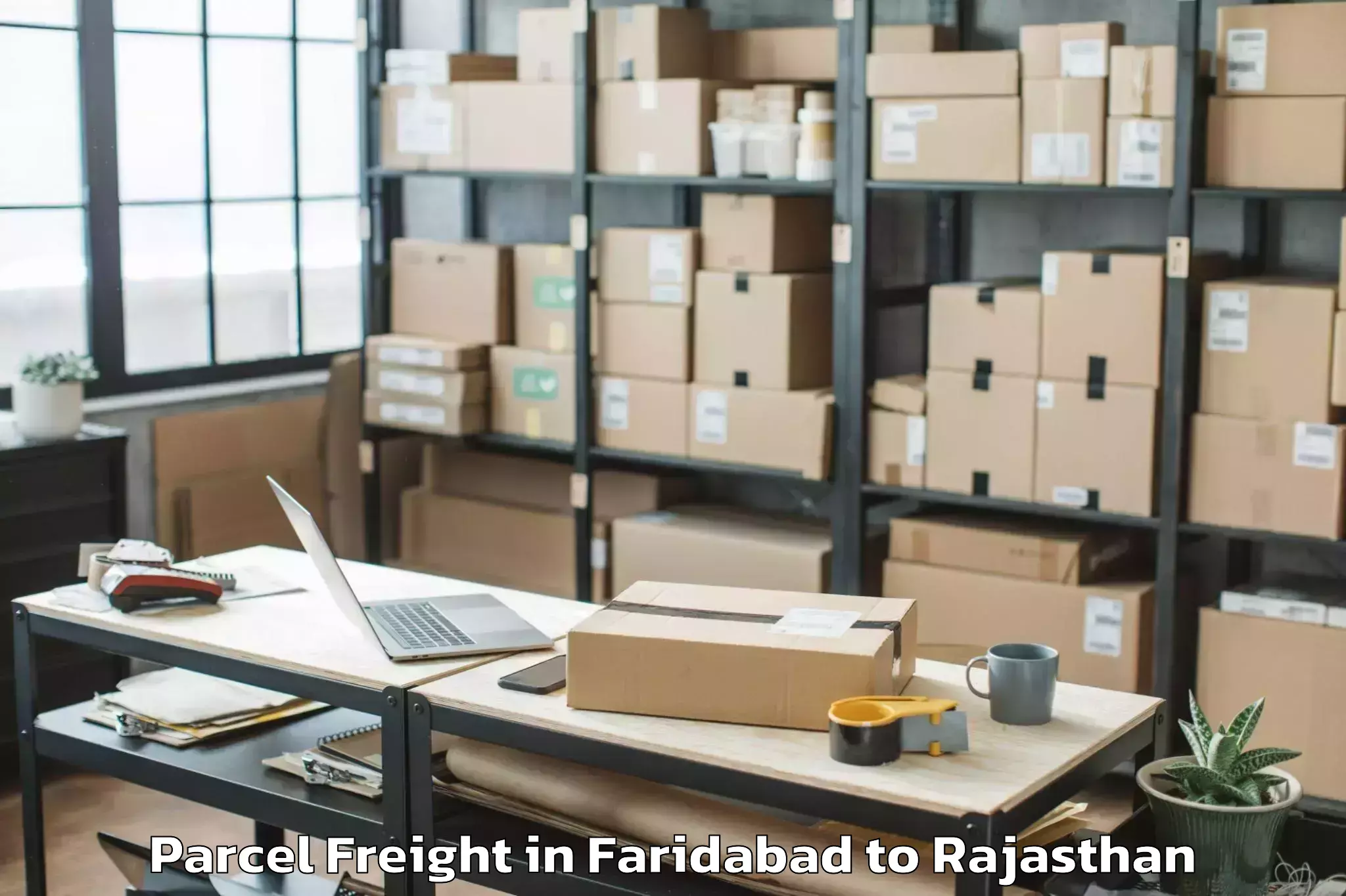 Leading Faridabad to Deoli Parcel Freight Provider